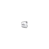 Charm Queriot Mujer in Plata SASA00SMALUC